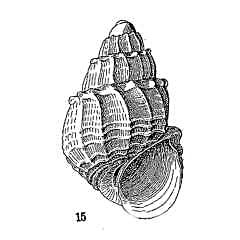 4930.jpg (246709 bytes)