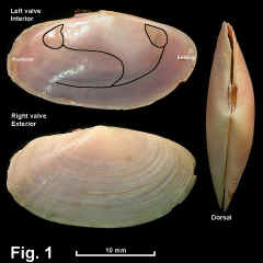 8321-1.jpg (807170 bytes)