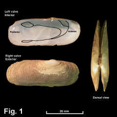 8344-1.jpg (527126 bytes)