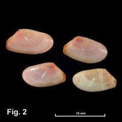 8285-1.jpg (369533 bytes)