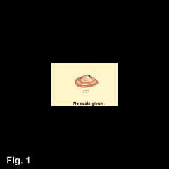 8305-1.jpg (110789 bytes)