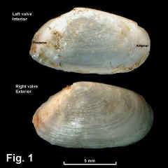 8306-1.jpg (622750 bytes)