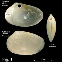 8316-1.jpg (570059 bytes)